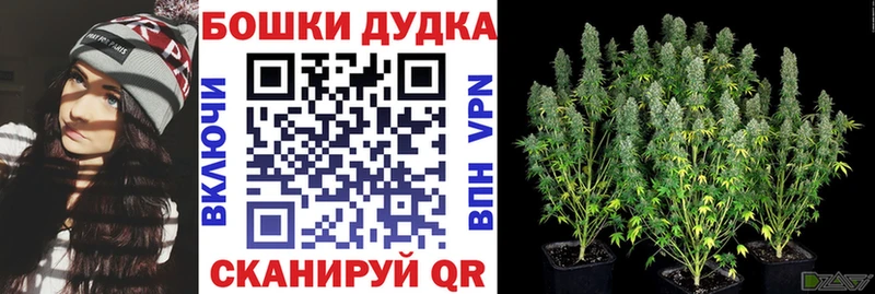 это клад ссылка на мегу онион Калач-на-Дону Марихуана план